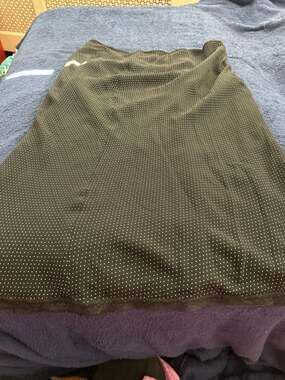 The limited silk skirt size 8